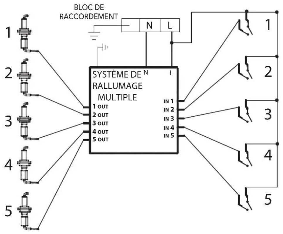 Fulgor Milano F4MTGK36S1 - SCHEMA ÉLECTRIQUE (5 ZONES) - 1