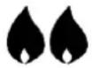 Ribiland PRF315 - Save all warnings and instructions for future reference. - 7