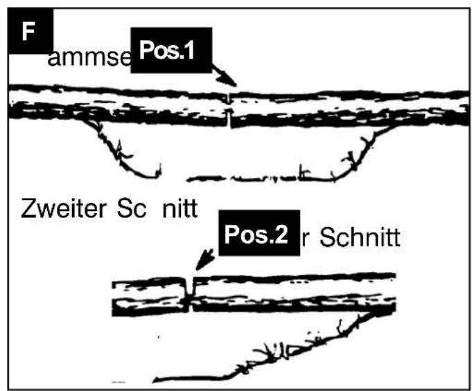 SCHEPPACH CSP42Pro - CSP42Pro - 37