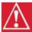 Vevor G250A - ULTERIORI AVVERTENZE DI SICUREZZA PER LA PRESSIONE RONDELLA. - 29