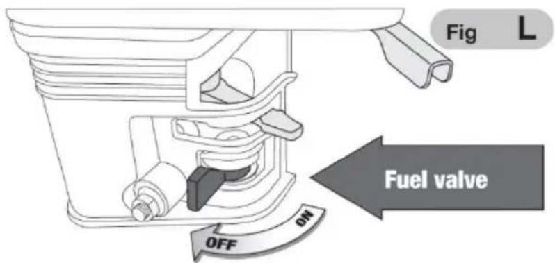 Vevor G250A - Addition of a fuel stabilizer to extend shelf life - 1