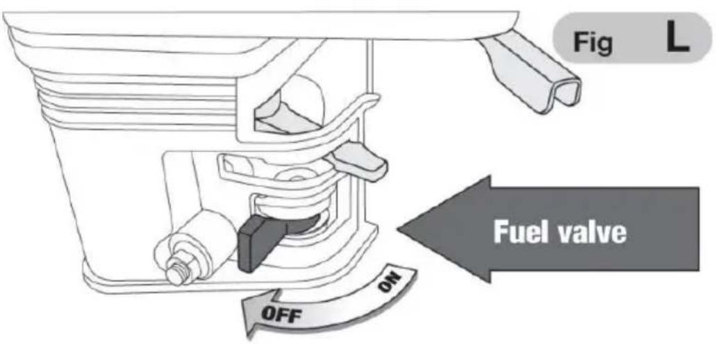 Vevor 170D - Addition of a fuel stabilizer to extend shelf life - 1