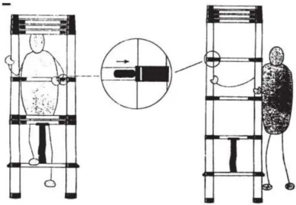 Vevor ML-1050P - Leiter kürzen: - 1