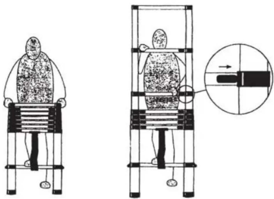 Vevor ML-1062P - Estensione parziale della scala: - 1
