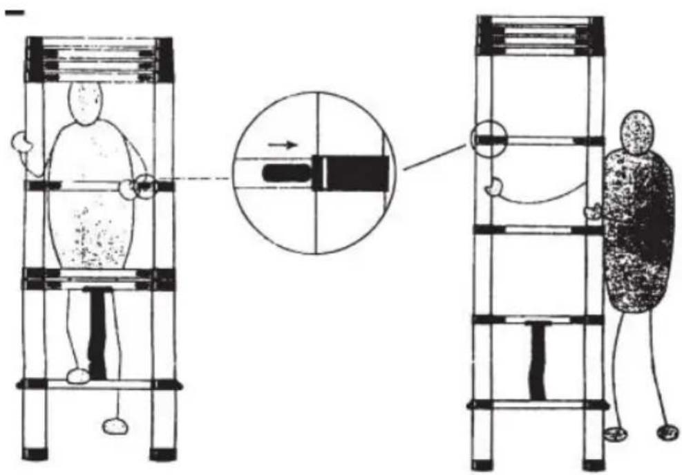 Vevor ML-1062P - Accorciare la scala: - 1