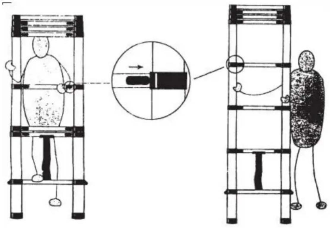 Vevor ML-1050Z - Accorciare la scala: - 1