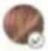 Vevor T013C - • Skin tone/hair color reference chart - 5