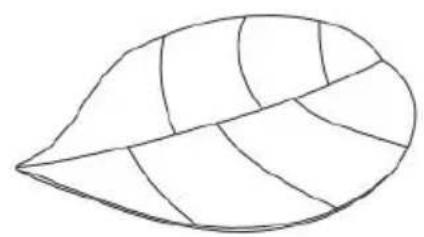 Vevor PM1-3 - VEVOR® - 1
