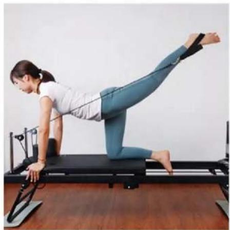 Vevor S1002 - CONCENTRATED UPPER LIMB EXERCISE - 7