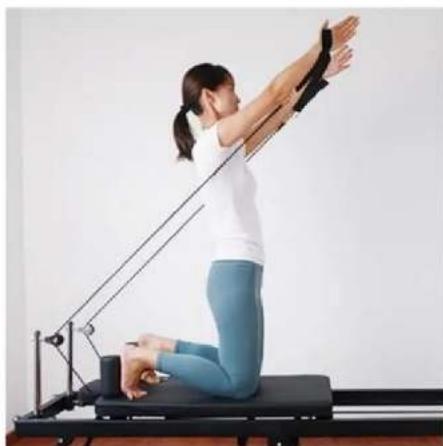 Vevor S1002 - CONCENTRATED UPPER LIMB EXERCISE - 8