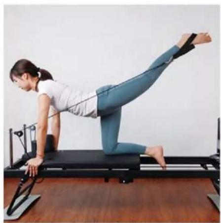Vevor S3003 - CONCENTRATED UPPER LIMB EXERCISE - 6