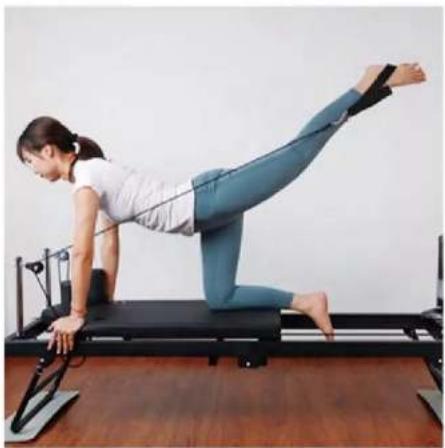 Vevor S3003 - CONCENTRATED UPPER LIMB EXERCISE - 6