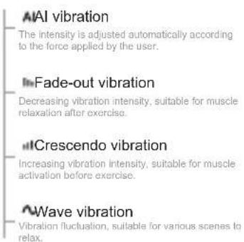 Vevor BOOSTER M2-C - INSTRUCTION FOR USE - 2