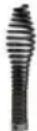 Vevor 66ft*5/8 - Cutting Tool Accessories - 2