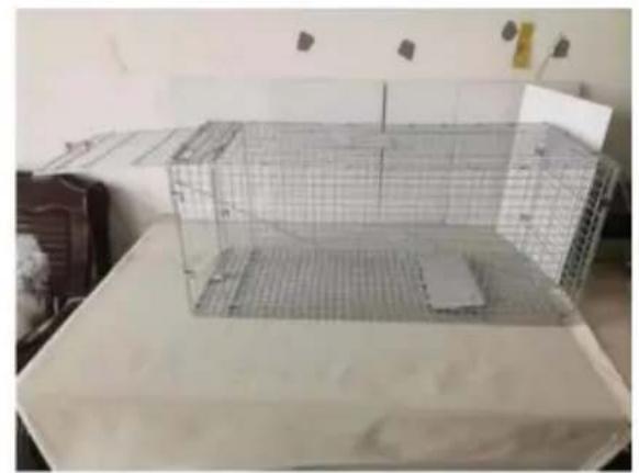 Vevor LB-33B - TOUGH TOOLS, HALF PRICE - 4