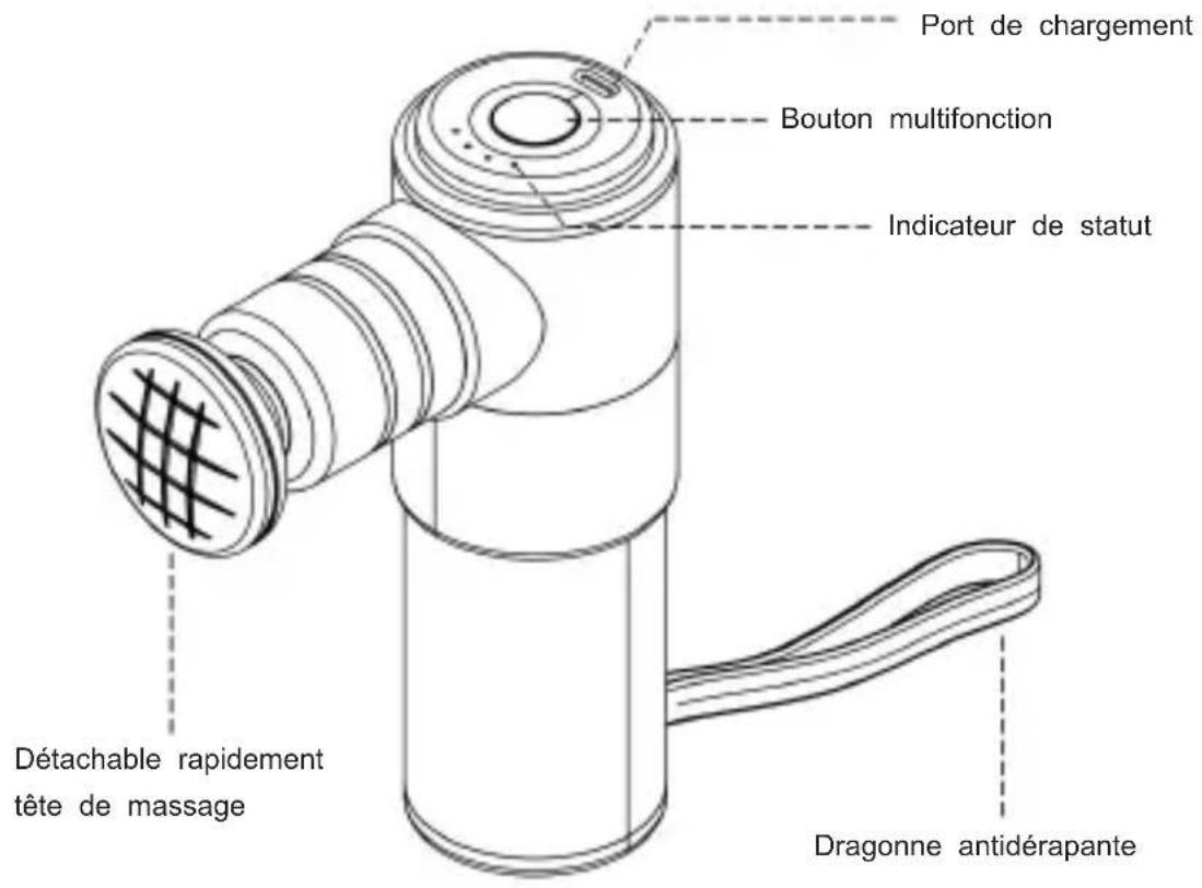 Vevor Booster MINI - CLAUSE DE NON-RESPONSABILITÉ - 1