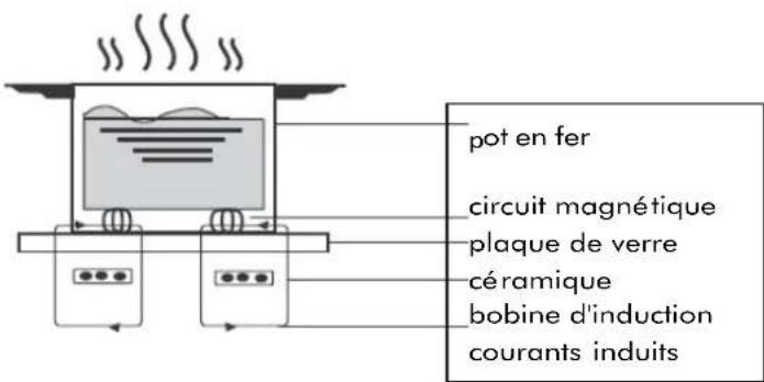 Linarie Craon LIN30I2Z - À propos de la cuisson par induction - 1