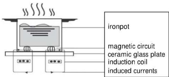 Linarie Dax LIN60I3Z - A Word on Induction Cooking - 1