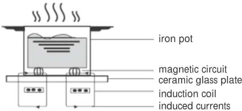 Linarie Rigny LIN39I2F - A Word on Induction Cooking - 1