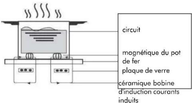 Linarie Rigny LIN39I2F - A propos de la cuisson par induction - 1