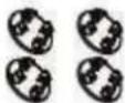 Linarie Viviers LMWM1014G - - Accessoires - 4