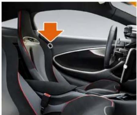 McLaren P16 (2025) - Avant de prendre le volant Sécurité des occupants - 1
