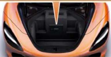 McLaren 720S (2021) - Protection antipincement - 2
