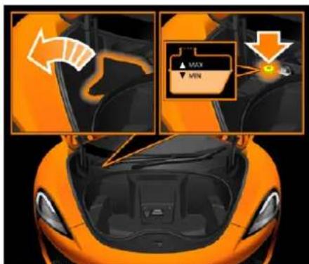 McLaren 600LT Spider (2019) - Liquide de frein - 1