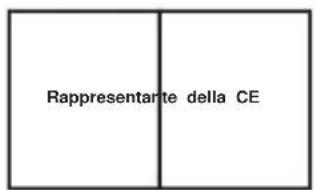 Vevor JR550GJ4L - MANOMETRO PRESSIONE SERBATOIO - 2