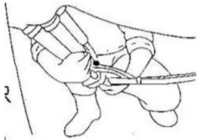 Vevor 9JYZ-1 - The order of milking - 5
