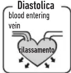 HOMEDICS BPA-420 - Cosa sono la pressione sistolica e la pressone diastolica? - 2