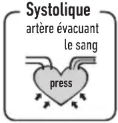 Systolique artère évacuant le sang press