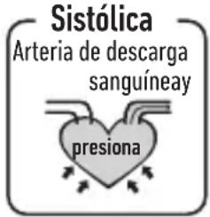 HOMEDICS BPA-420 - ¿Qué son la presión sistólica y la presión diastólica? - 1