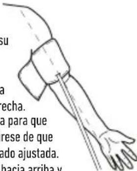 HOMEDICS BPA-420 - Abrochar el brazalete - 1