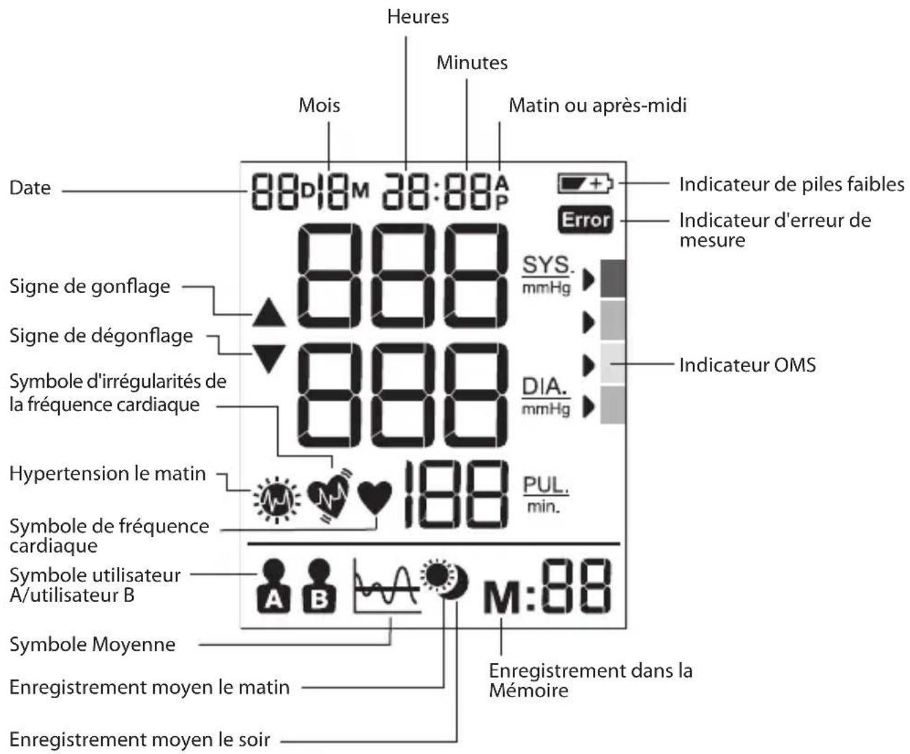 BRAUN ExactFit 5 BUA 6350 - Écran - 1