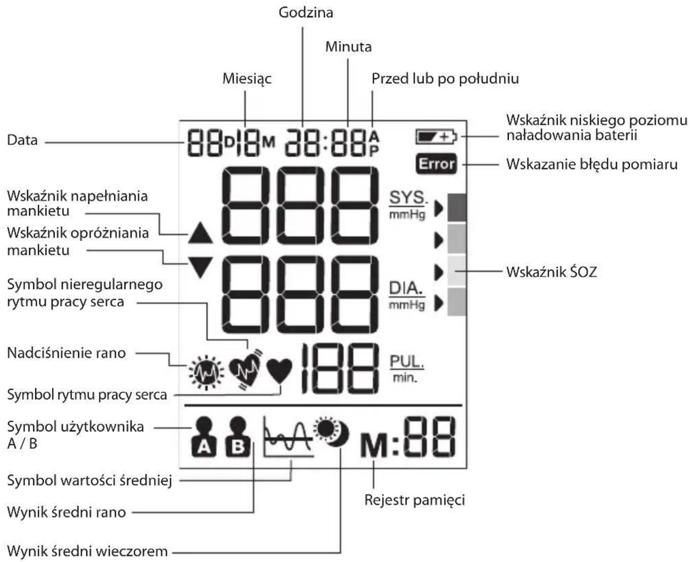 BRAUN ExactFit 5 BUA 6350 - Wyświetlacz - 1