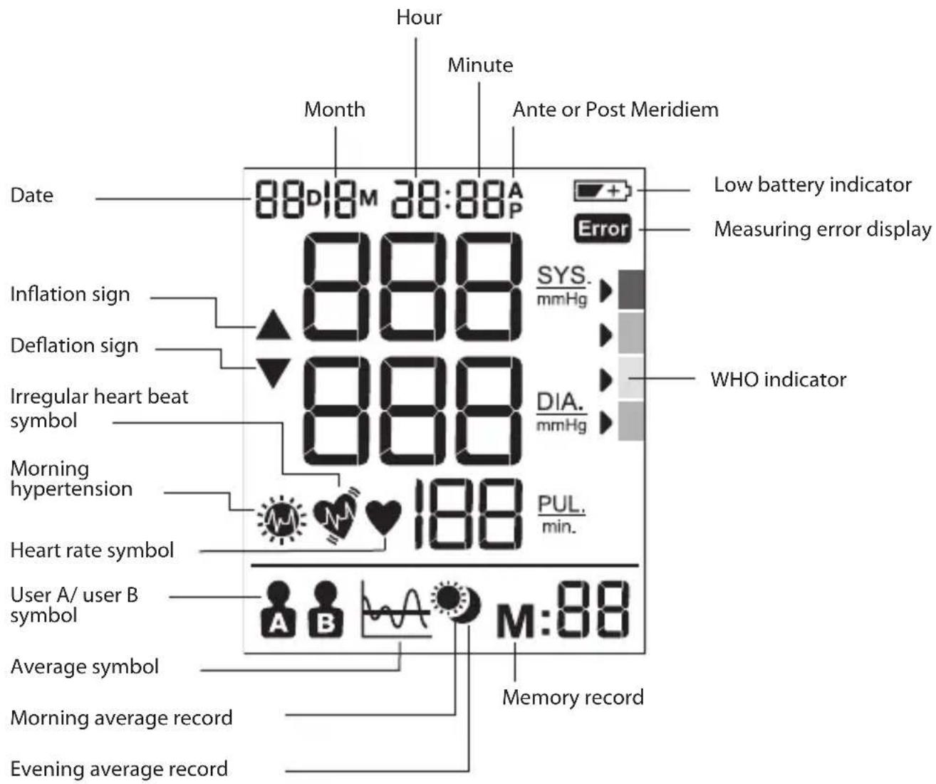 BRAUN ExactFit 5 BUA 6350 - Display - 1