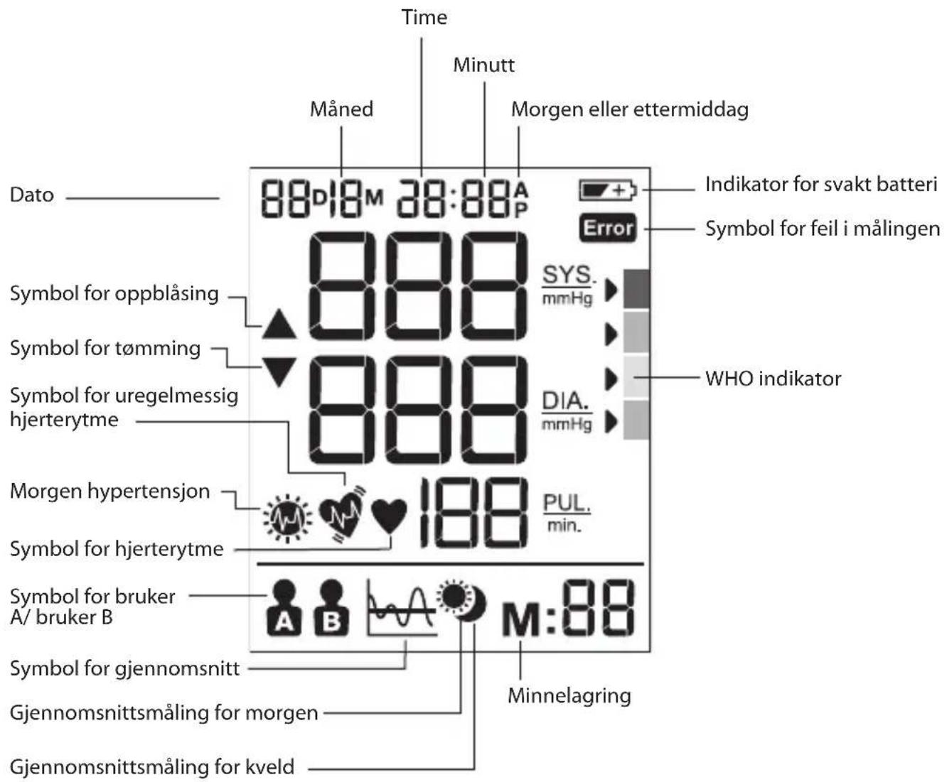 BRAUN ExactFit 5 BUA 6350 - Display - 1