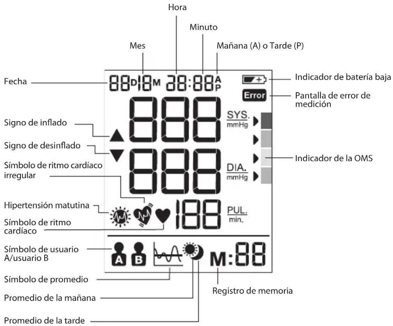 BRAUN ExactFit 5 BUA 6350 - Pantalla - 1