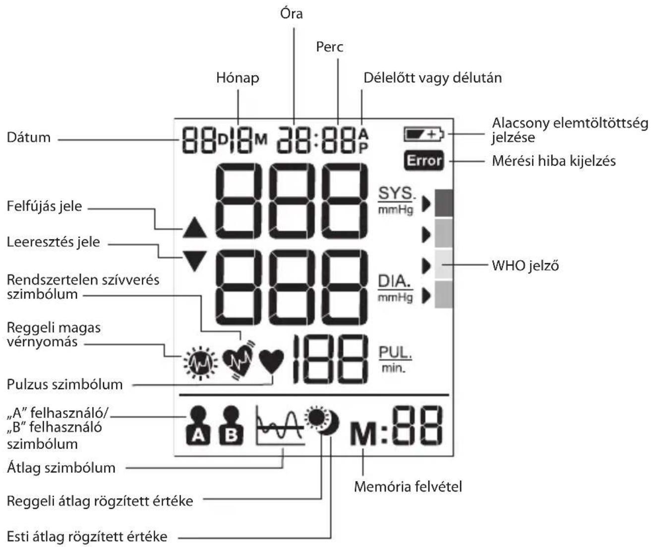 BRAUN ExactFit 5 BUA 6350 - Kijelző - 1