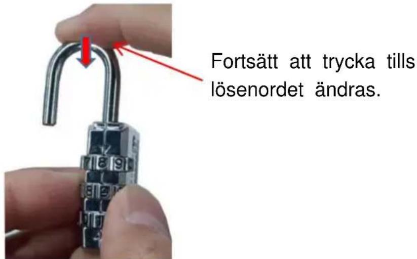 Vevor 6601 - För att ställa in din personliga kombination, följ dessa steg: - 3