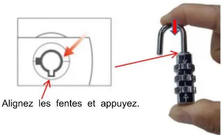 Vevor 6601 - MONTAGE ET UTILISATION - 5