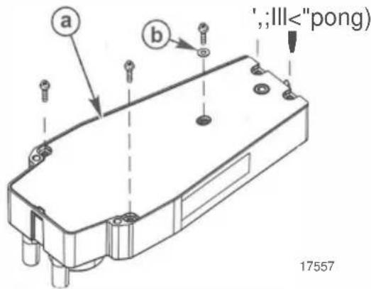 Vevor 8M0059686 - INSTALLAZIONE E FUNZIONAMENTO DEL TELECOMANDO DELLA CONSOLE - 1