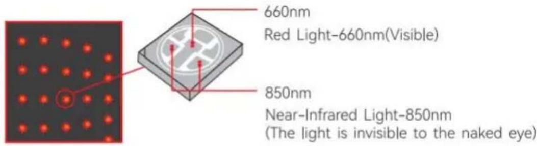 Vevor BRL-1000 - Near-Infrared Light (850nm): - 1