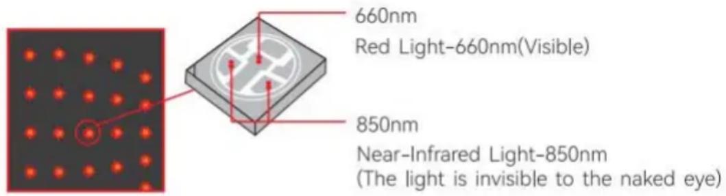 Vevor BRL-1000 - Nabij-infraroodlicht (850 nm): - 1