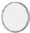 Vevor CQ5545 - PART LIST - 11