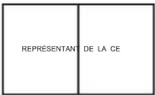 REPRÉSENTANT DE LA CE