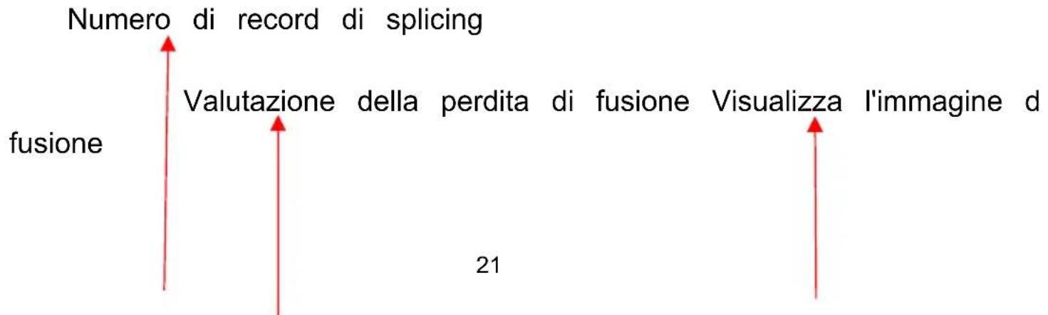 Vevor ALK-T3 - Controllare il risultato dello splicing - 1