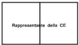Vevor D17 - Guida all'installazione - 9