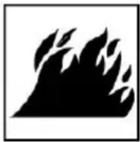 Vevor DN-100E - - Risque d'INCENDIE OU D'EXPLOSION. - 1